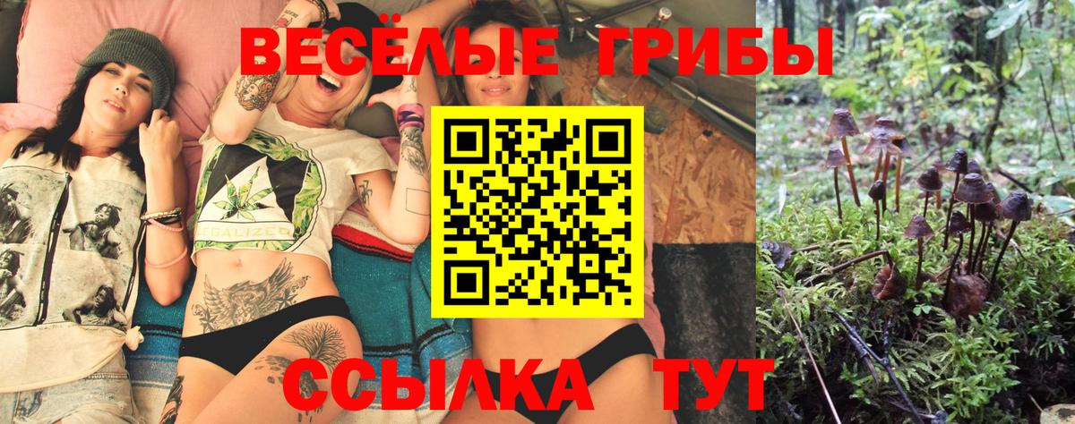 Галлюциногенные грибы ЛСД Дербент