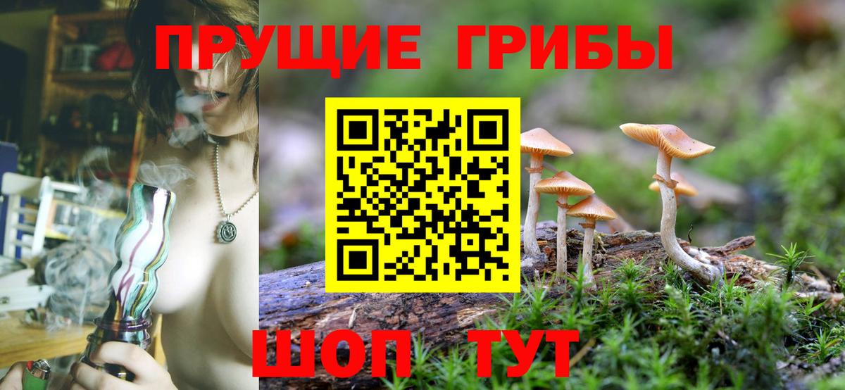 Псилоцибиновые грибы ЛСД  хочу   Дербент  Вход с VPN  Псилоцибиновые грибы прущие грибы 