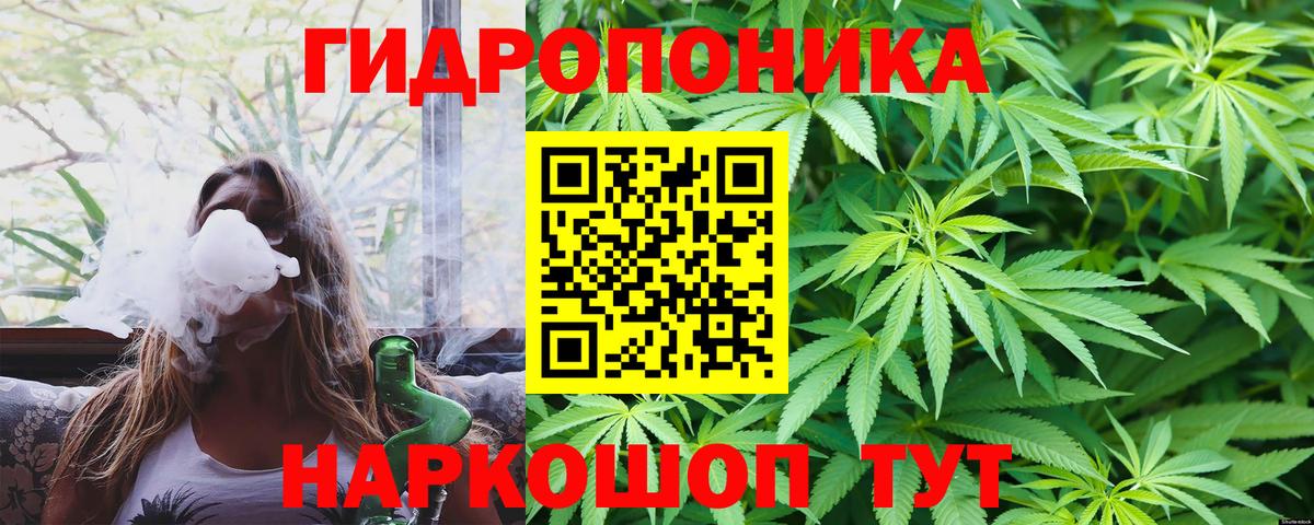 Бошки Шишки гибрид Дербент